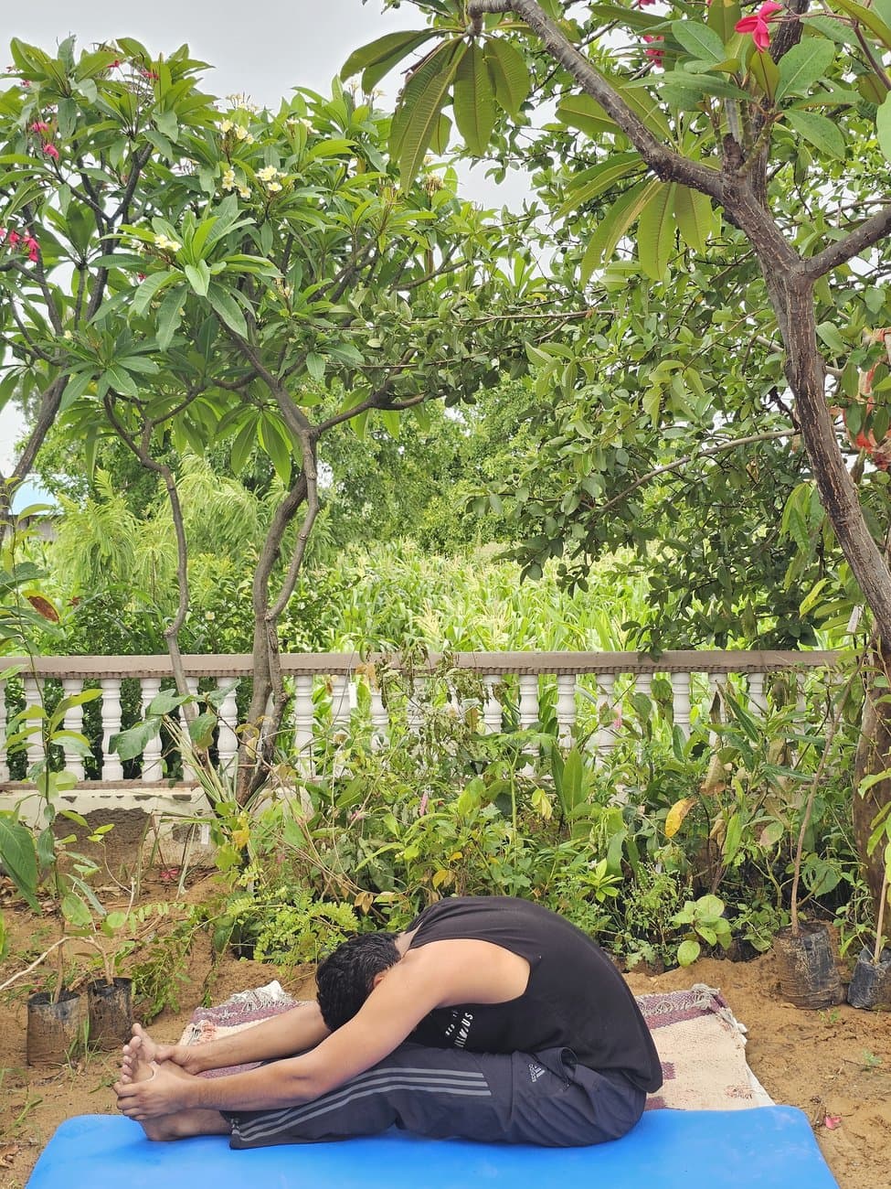 पश्चिमोत्तानासन (Paschimottanasana — Seated Forward Bend) — आरोग्यसुधा जयपुर में योग चिकित्सा आसन