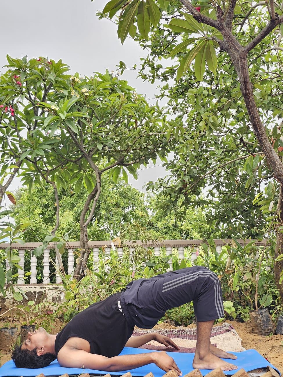 सेतुबंध आसन (Setu Bandhasana — Bridge Pose) — आरोग्यसुधा जयपुर में योग चिकित्सा आसन
