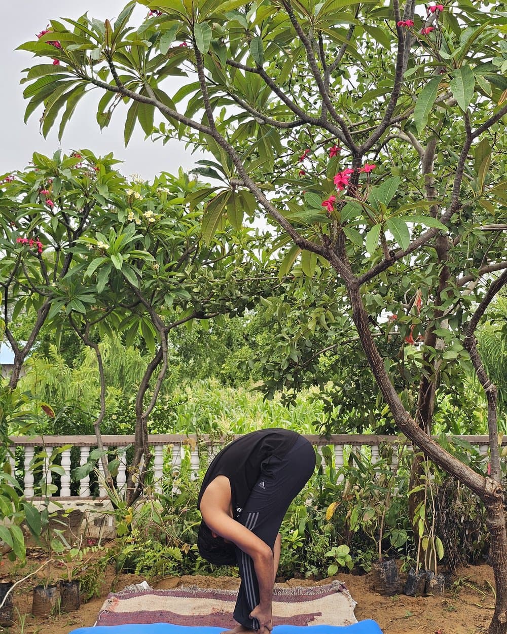 उत्तानासन (Uttanasana — Standing Forward Bend) — आरोग्यसुधा जयपुर में योग चिकित्सा आसन